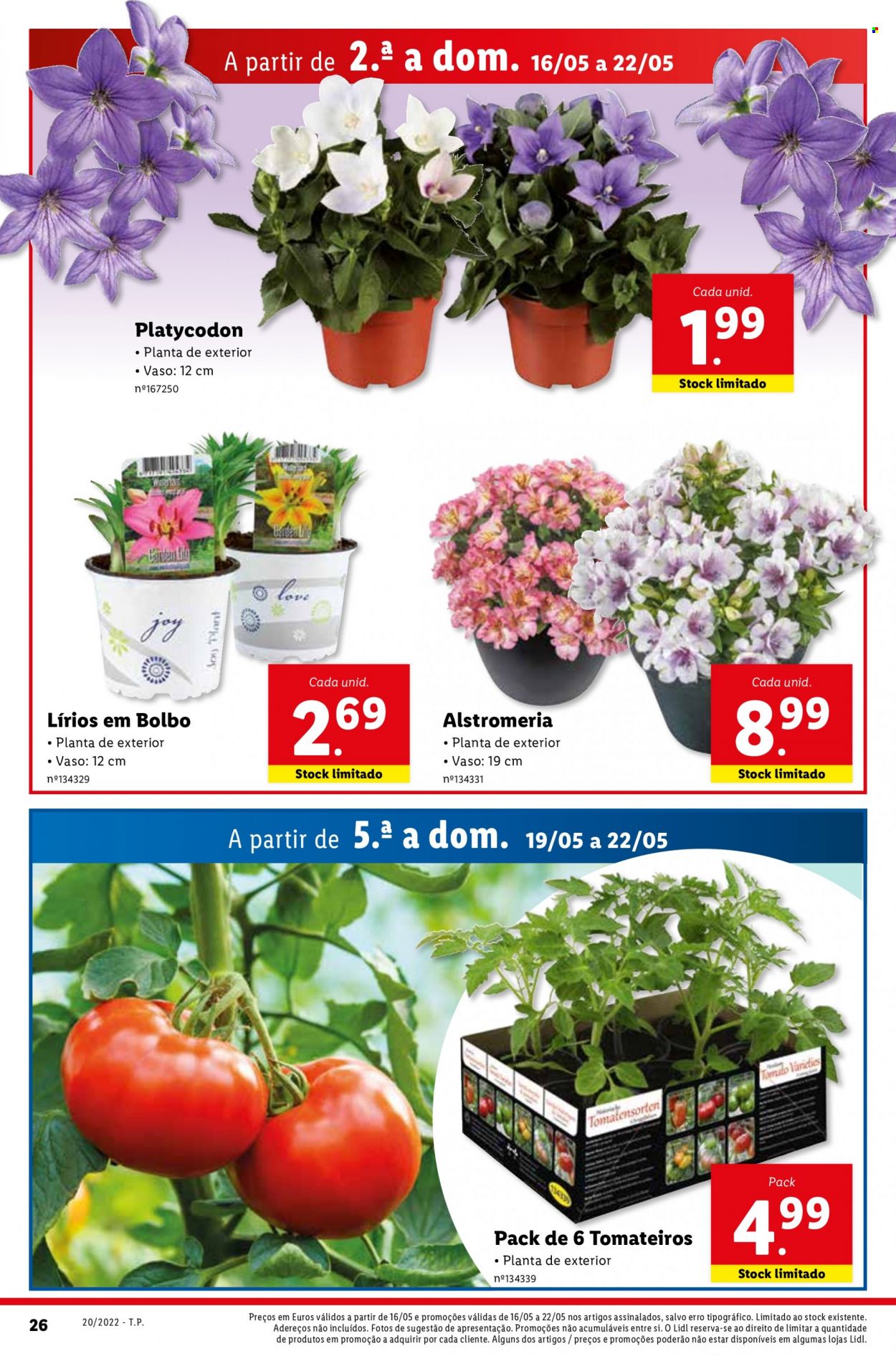 Folheto Lidl - 16.5.2022 - 22.5.2022 - Produtos em promoção - rack, plantas verdes. Página 28.