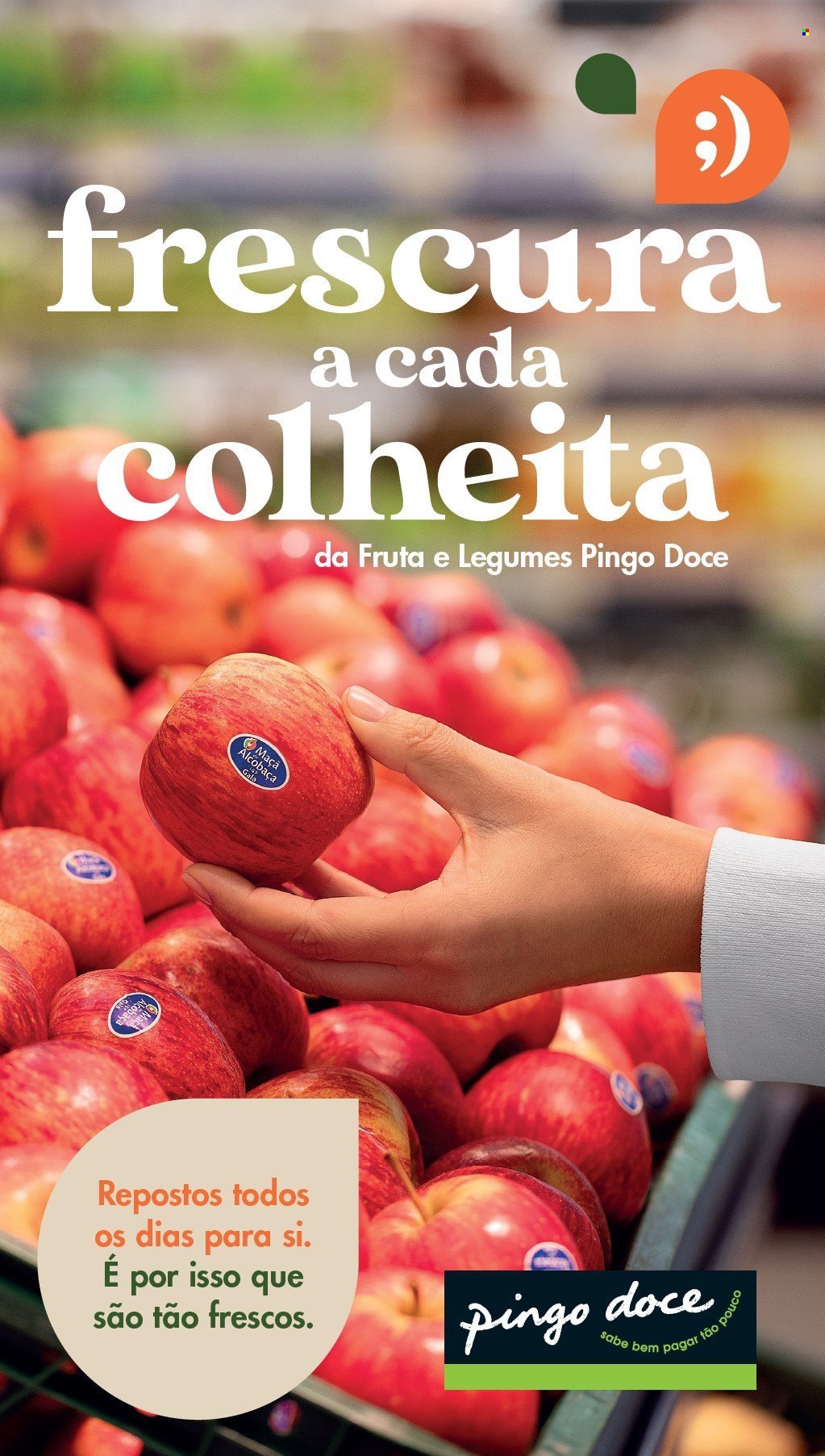 Folheto Pingo Doce. Página 1