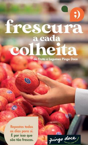 Folheto Pingo Doce.