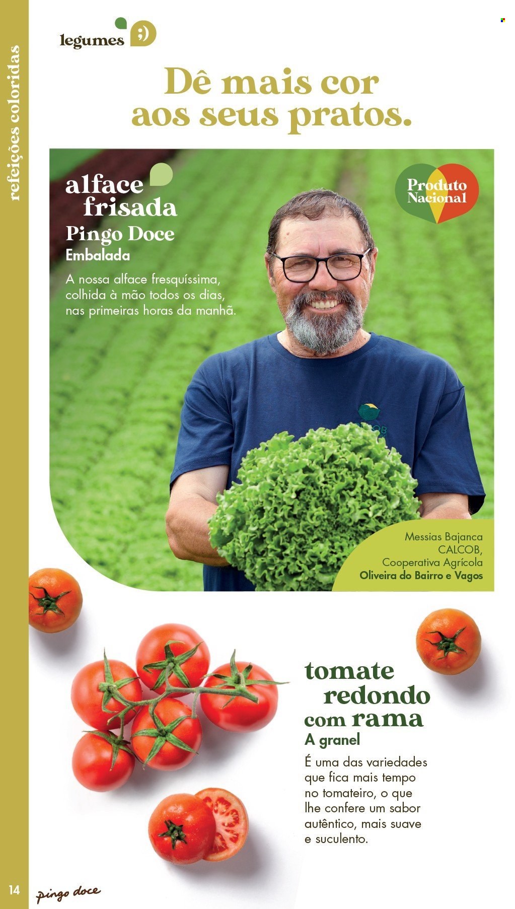 Folheto Pingo Doce. Página 1