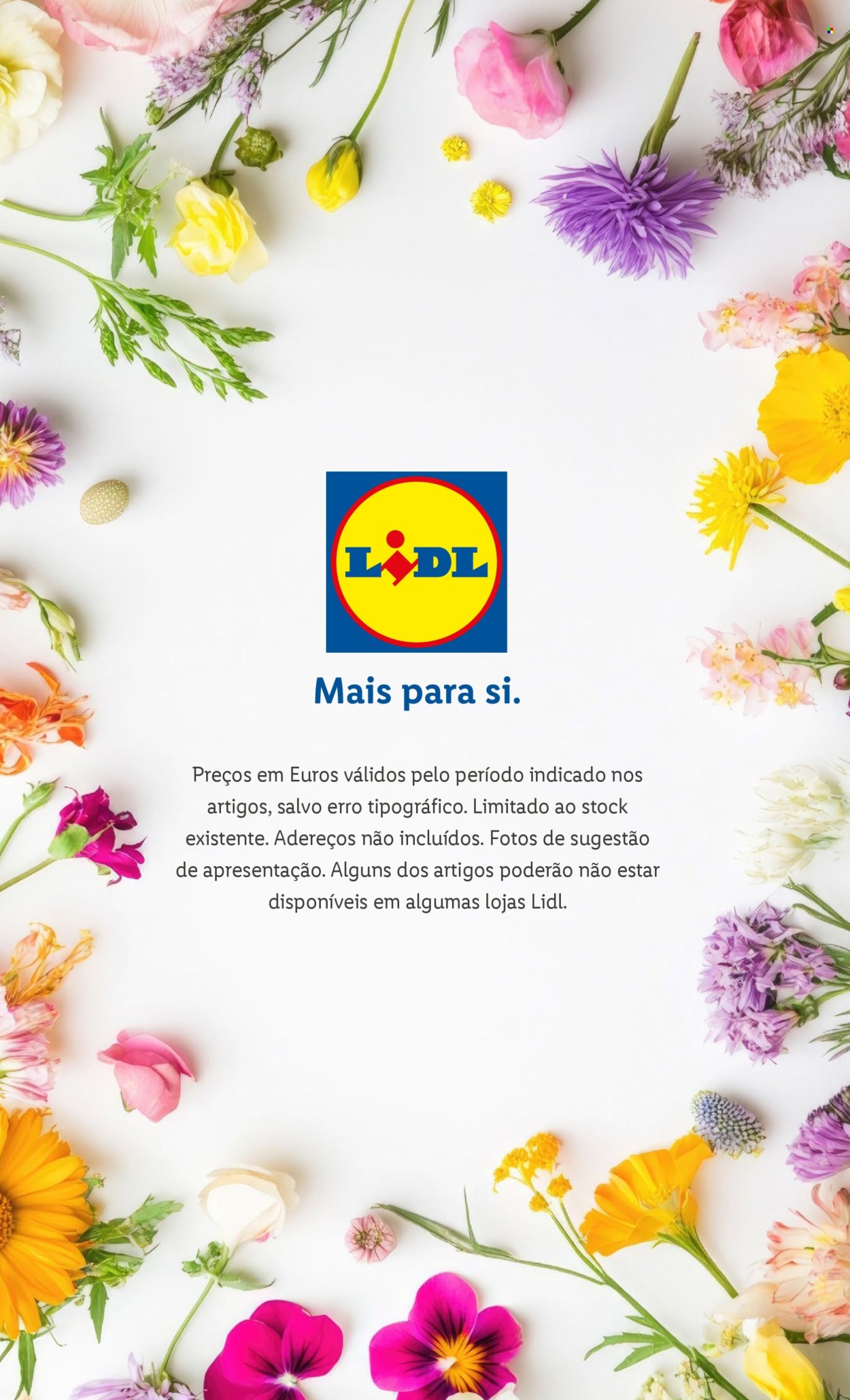 Folheto Lidl. Página 1