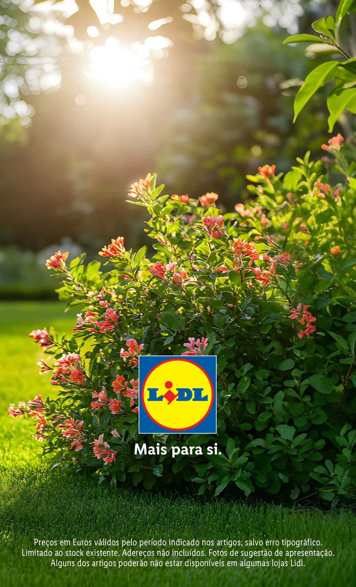 Folheto Lidl. Página 1