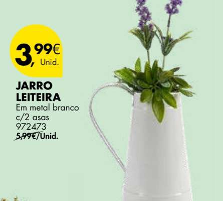 Jarro Leiteira