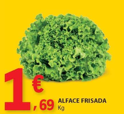 Alface Frisada