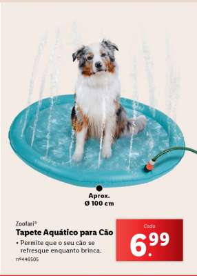 Tapete Aquático para Cão
