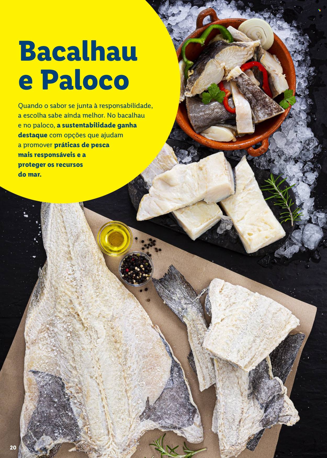 Folheto Lidl. Página 20