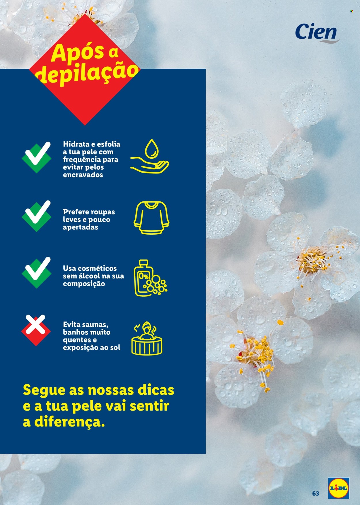 Folheto Lidl. Página 63