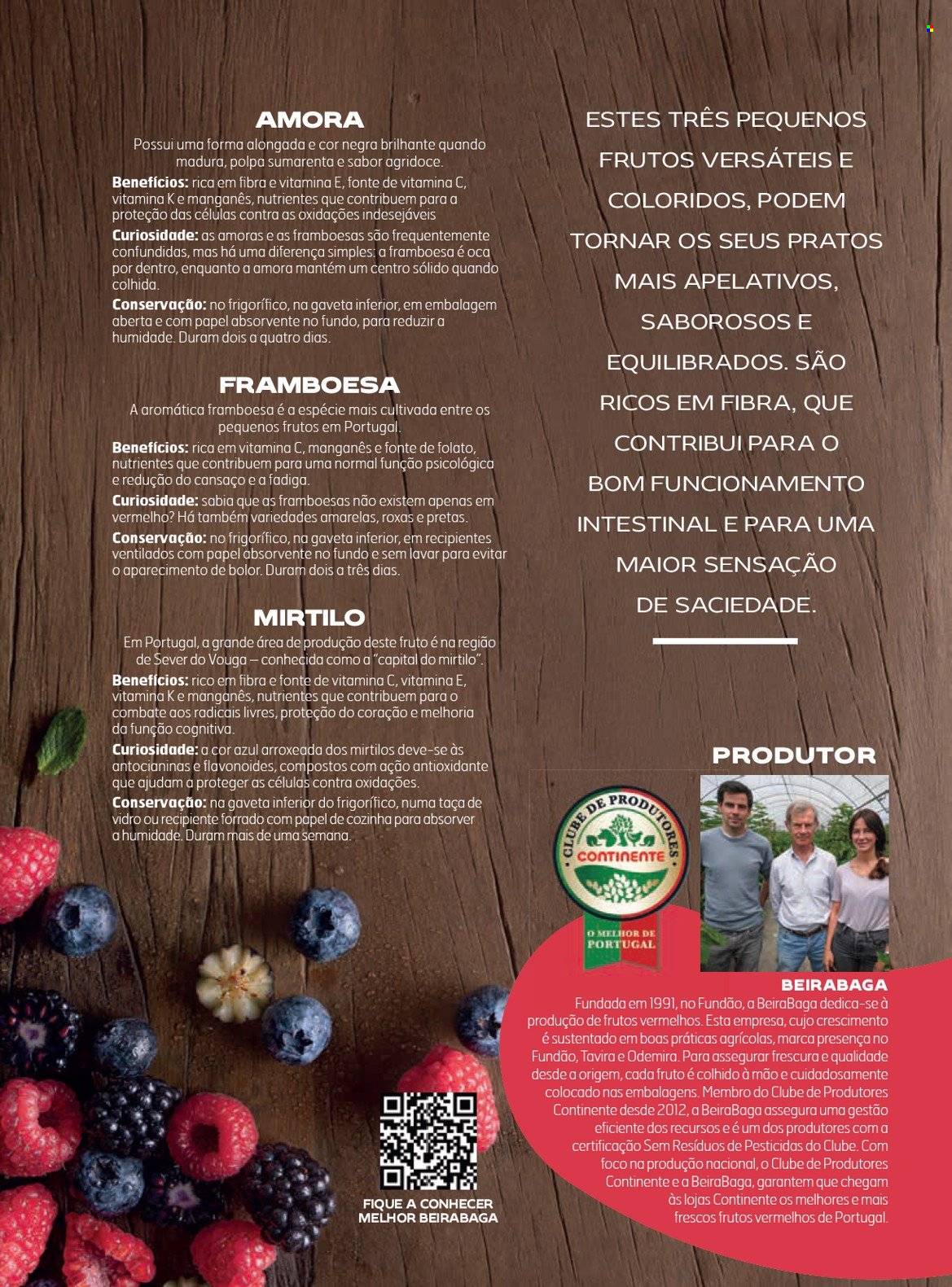 Folheto Continente. Página 25
