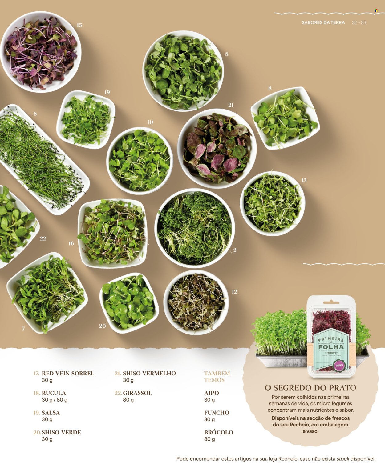 Folheto Recheio. Página 33