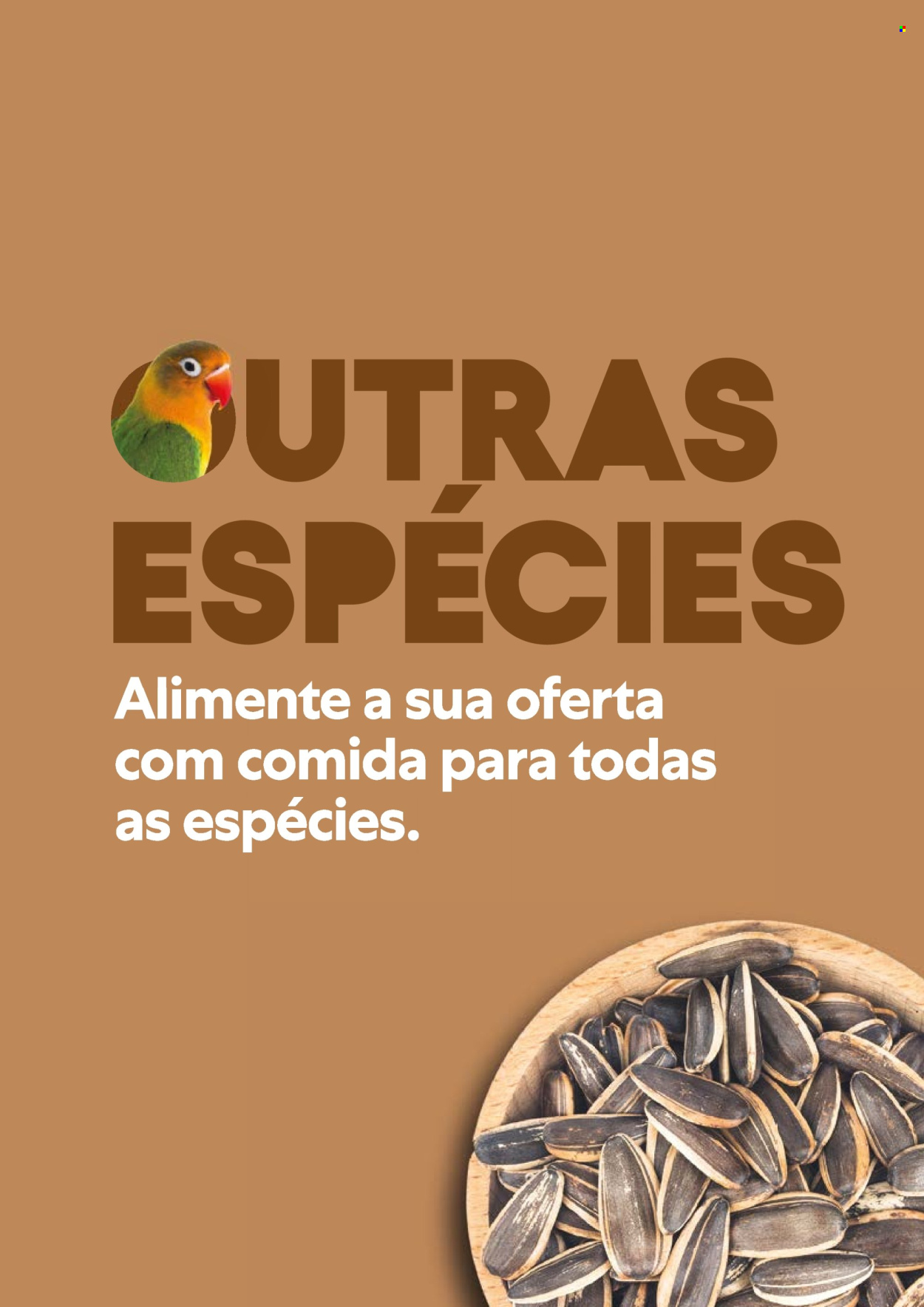 Folheto Recheio. Página 19