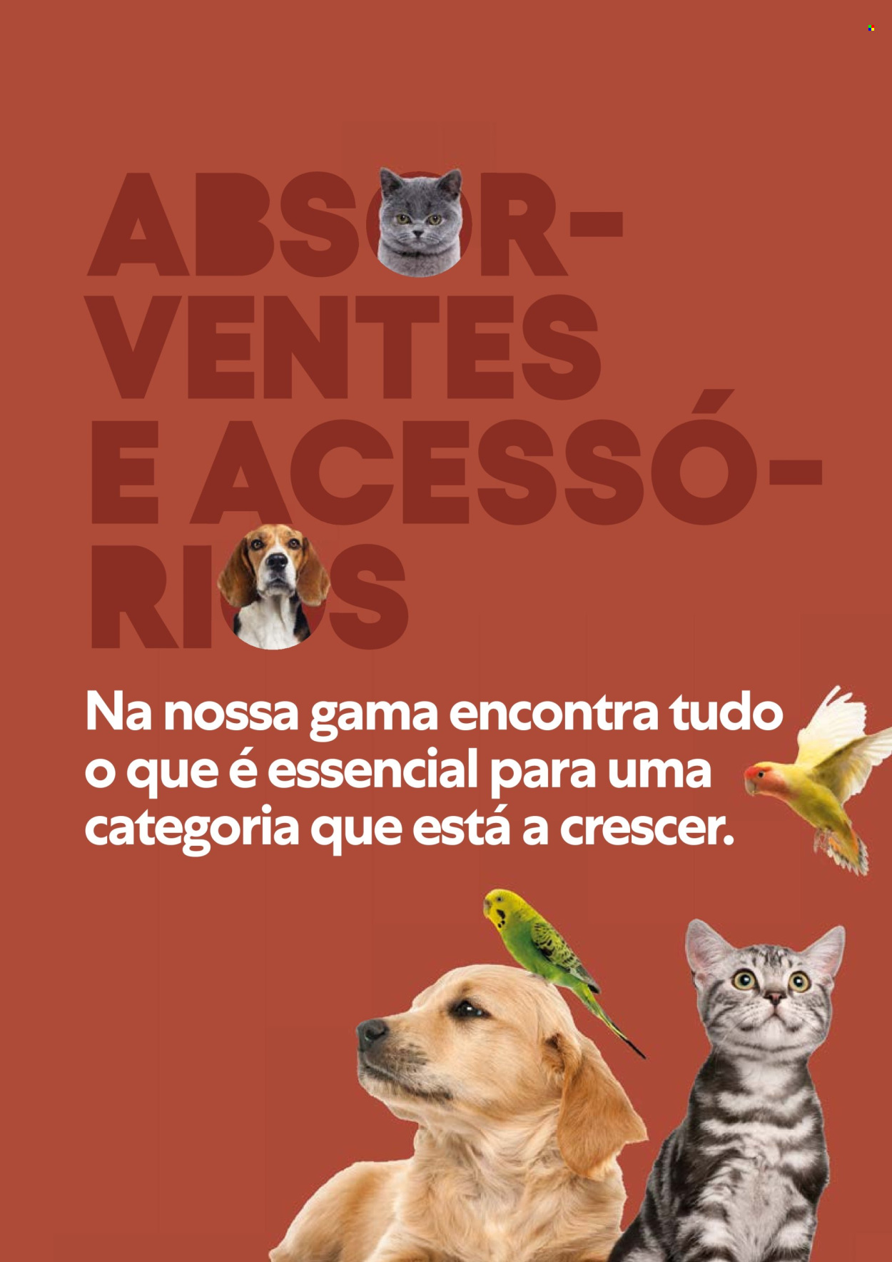 Folheto Recheio. Página 21