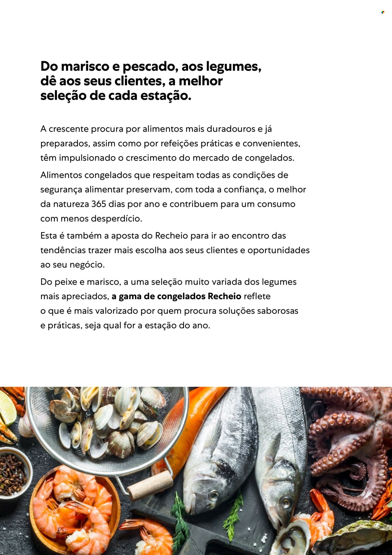 Folheto Recheio. Página 3