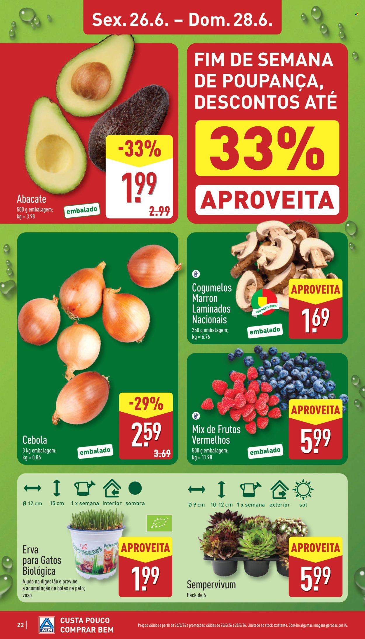 Folheto Aldi - 22.6.2026 - 28.6.2026. Página 22