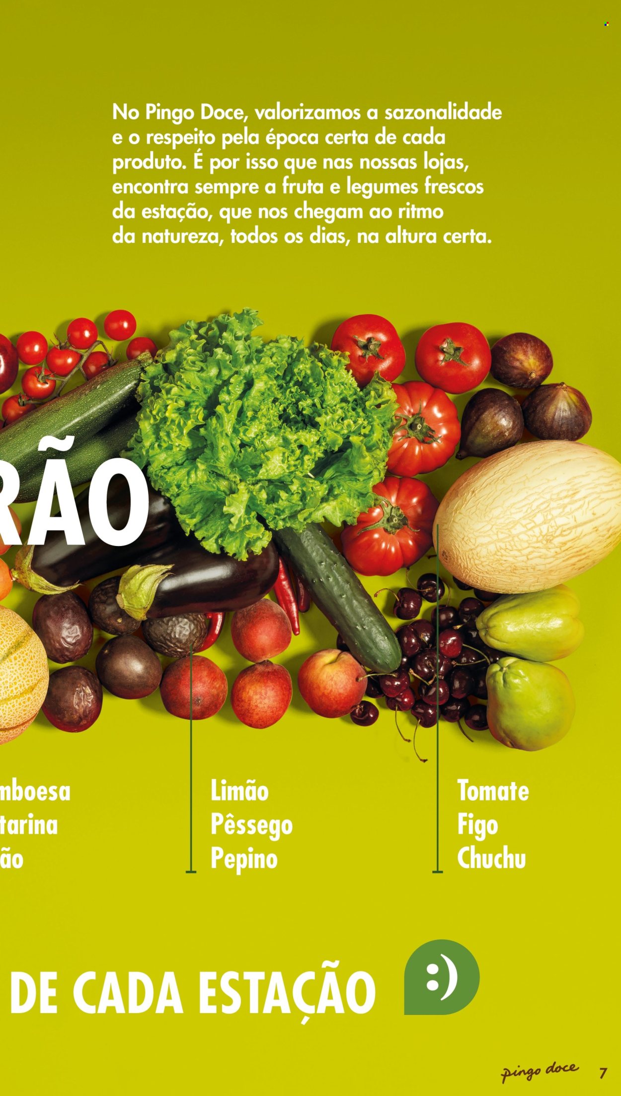 Folheto Pingo Doce. Página 7