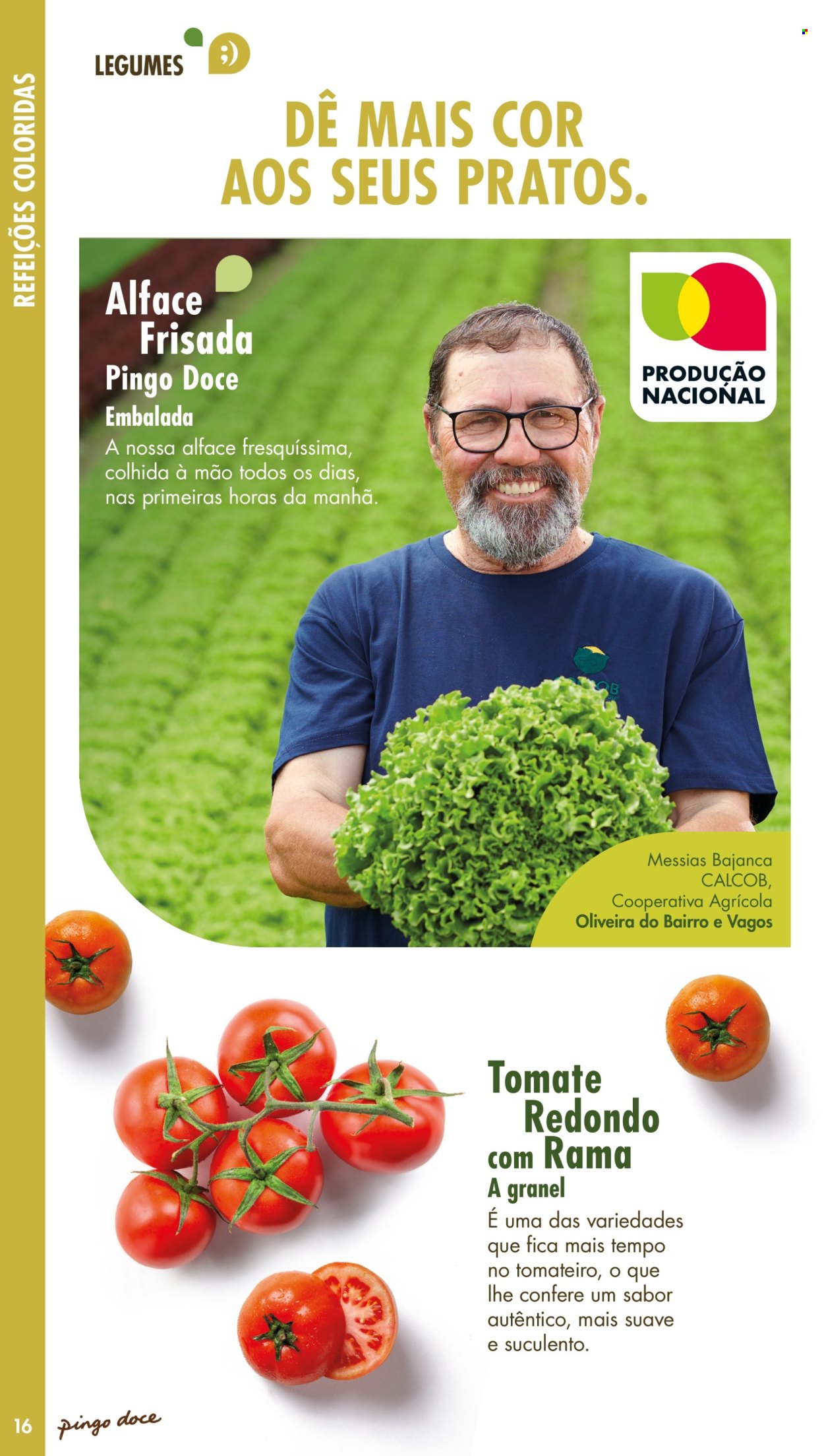 Folheto Pingo Doce. Página 16