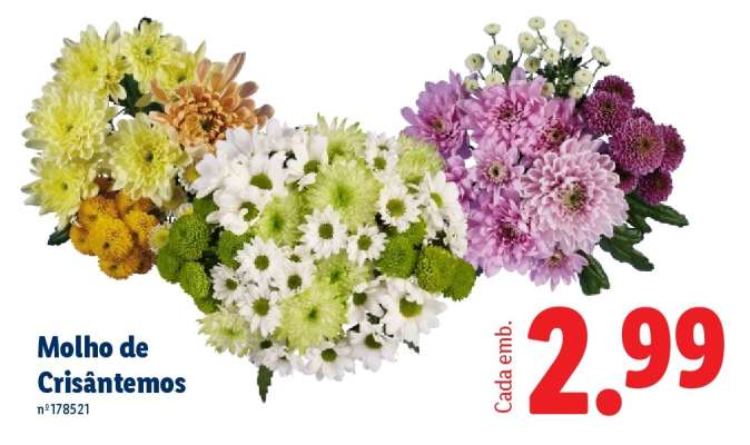 Molho de Crisântemos