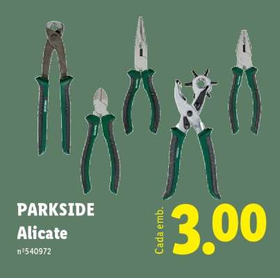 PARKSIDE