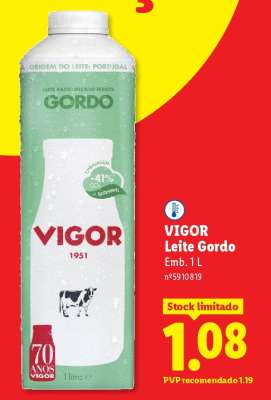 VIGOR Leite Gordo
