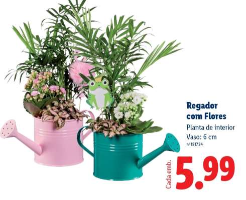 Regador com Flores