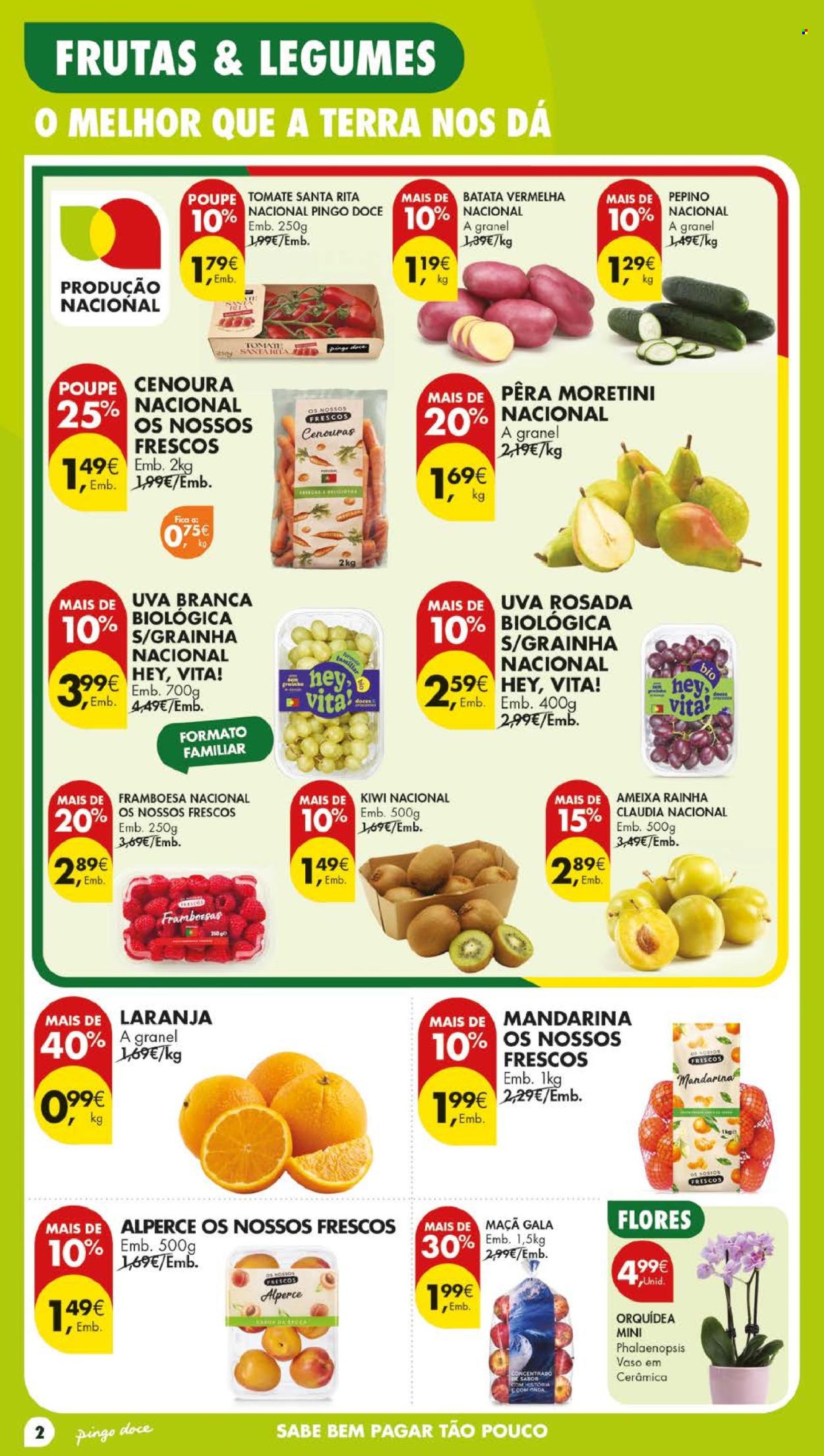 Folheto Pingo Doce - 28.7.2026 - 3.8.2026. Página 2