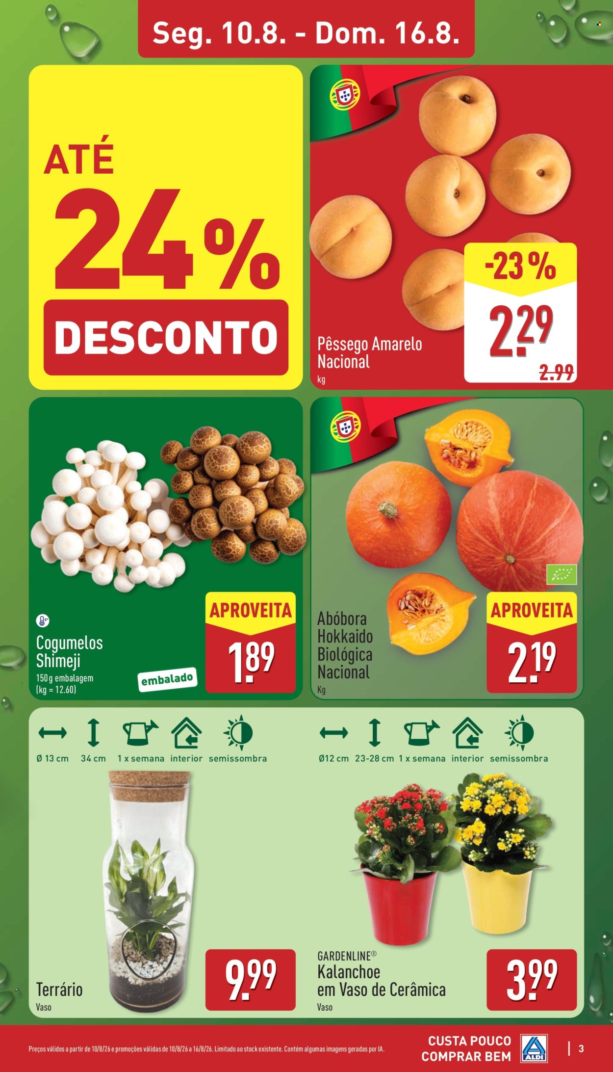 Folheto Aldi - 10.8.2026 - 16.8.2026. Página 3