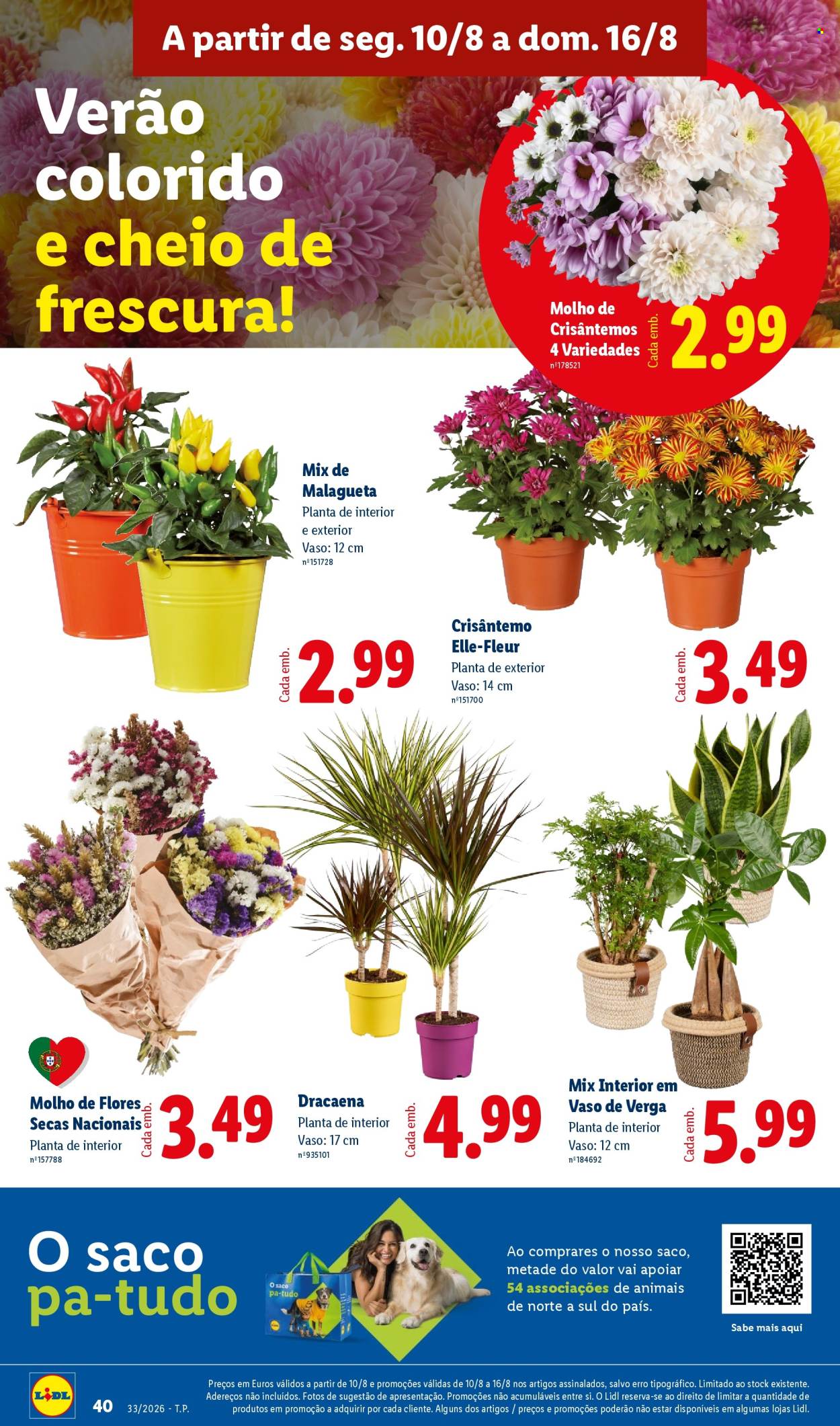 Folheto Lidl - 10.8.2026 - 16.8.2026. Página 40