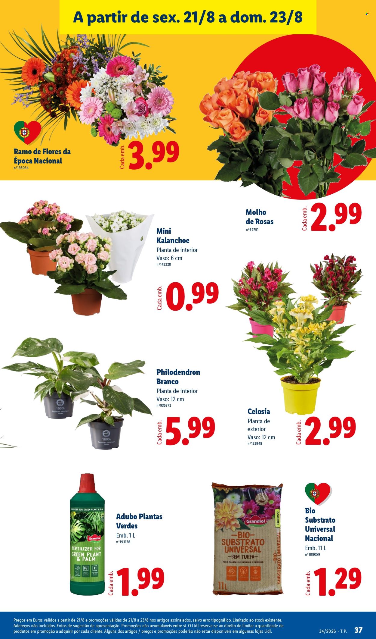 Folheto Lidl - 17.8.2026 - 23.8.2026. Página 37