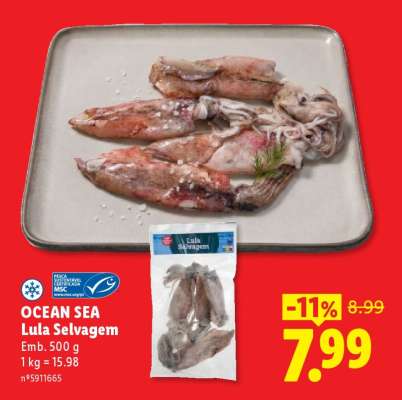 Ocean Sea Lula Selvagem