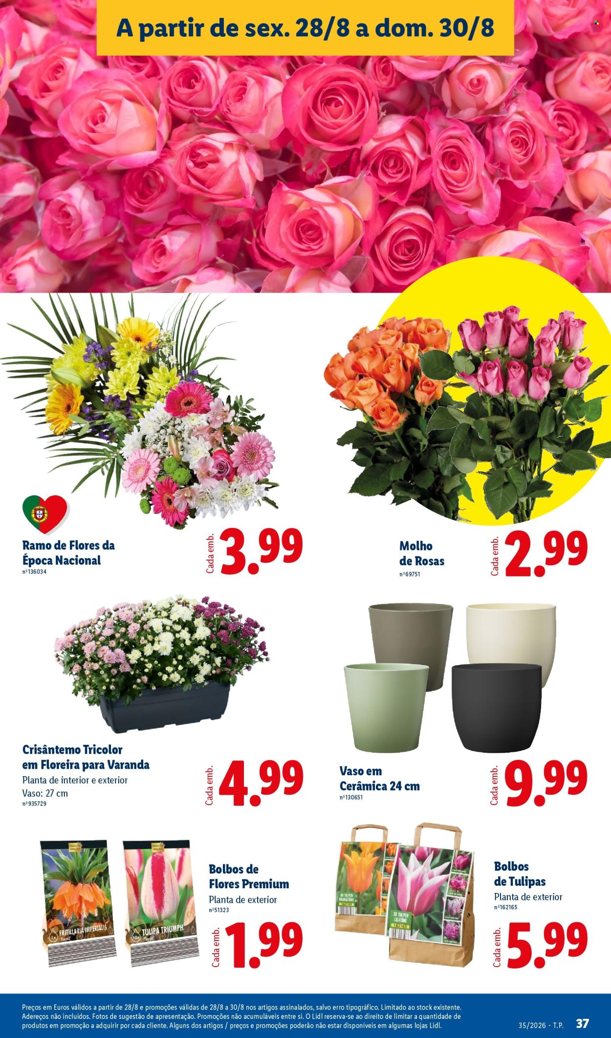 Folheto Lidl - 24.8.2026 - 30.8.2026. Página 37