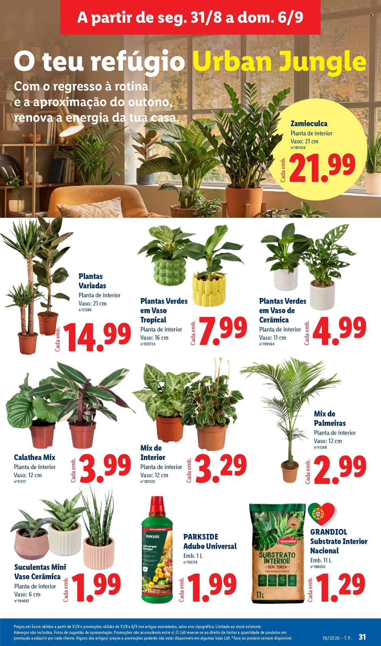 Folheto Lidl - 31.8.2026 - 6.9.2026. Página 31
