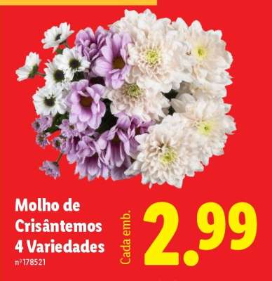 Molho de Crisântemos 4 Variedades