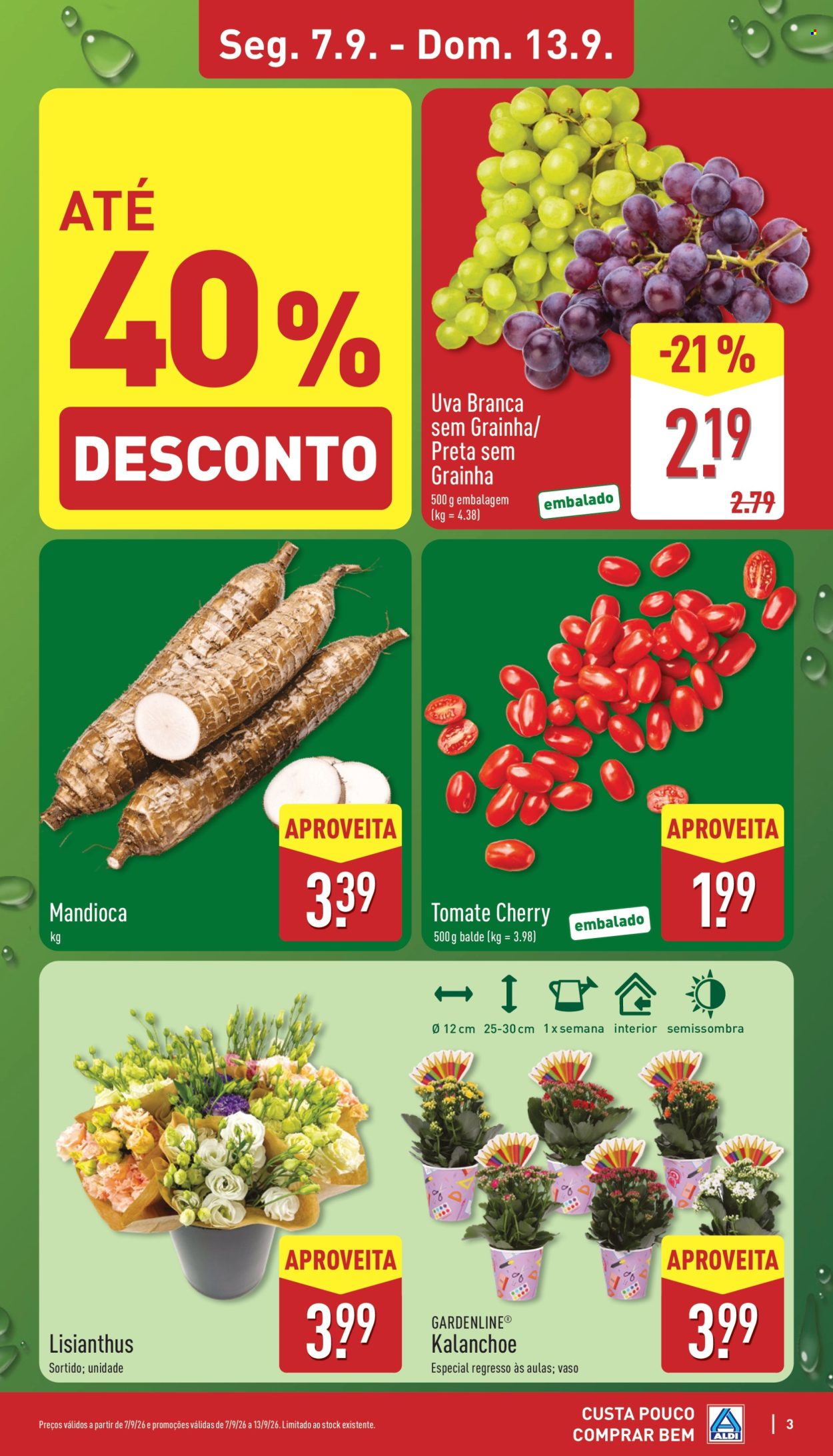 Folheto Aldi - 7.9.2026 - 13.9.2026. Página 3