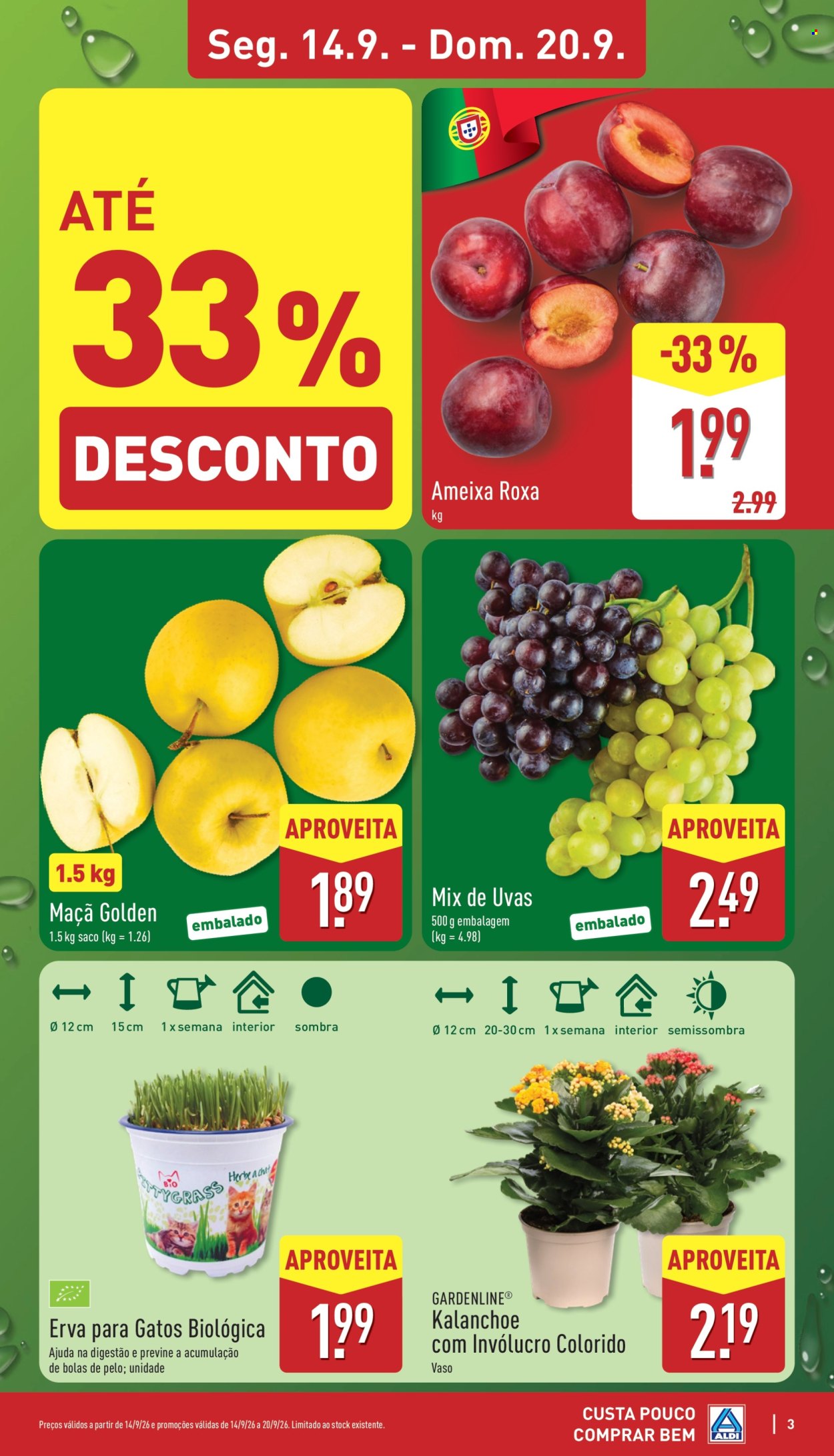 Folheto Aldi - 14.9.2026 - 20.9.2026. Página 3