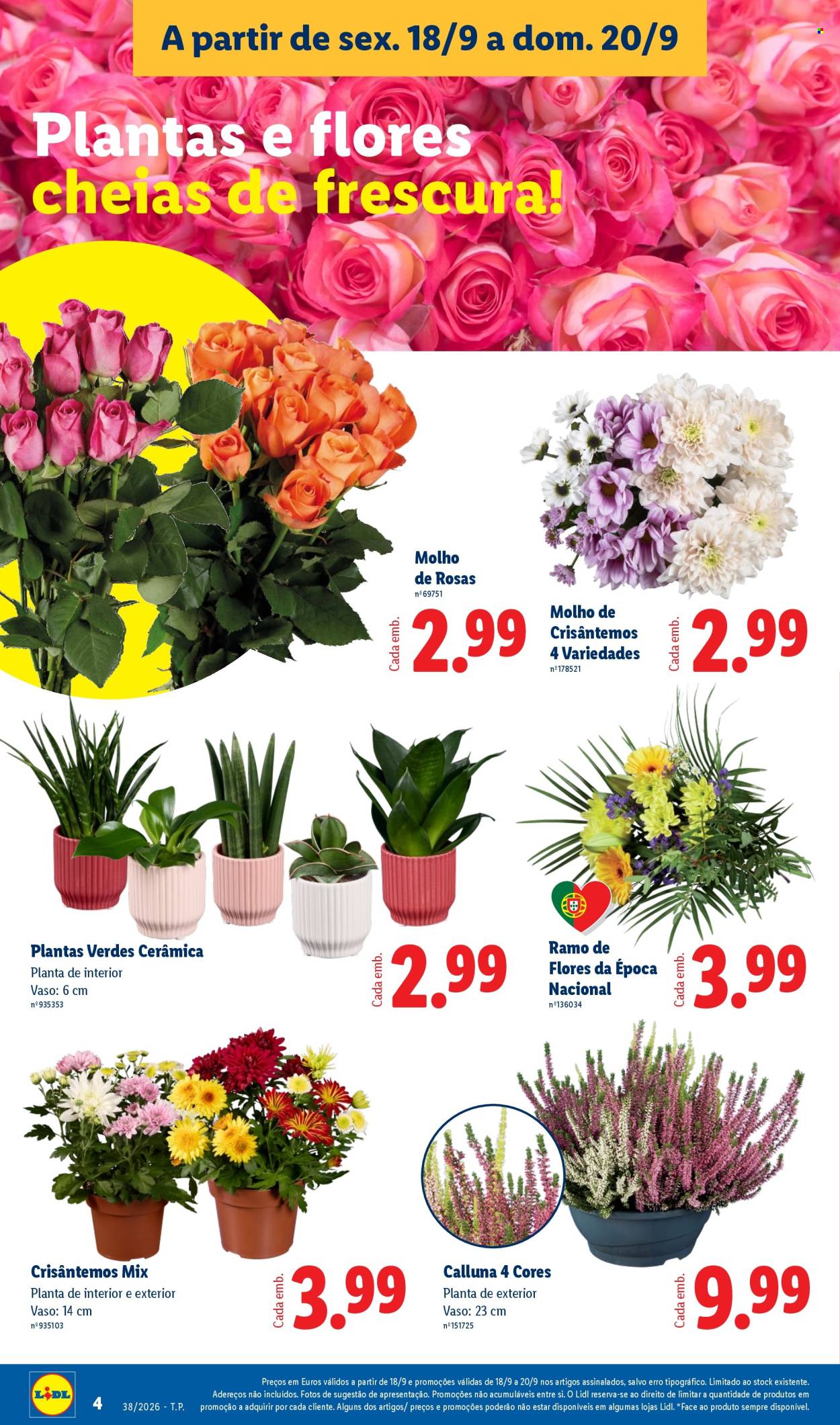 Folheto Lidl - 14.9.2026 - 20.9.2026. Página 4
