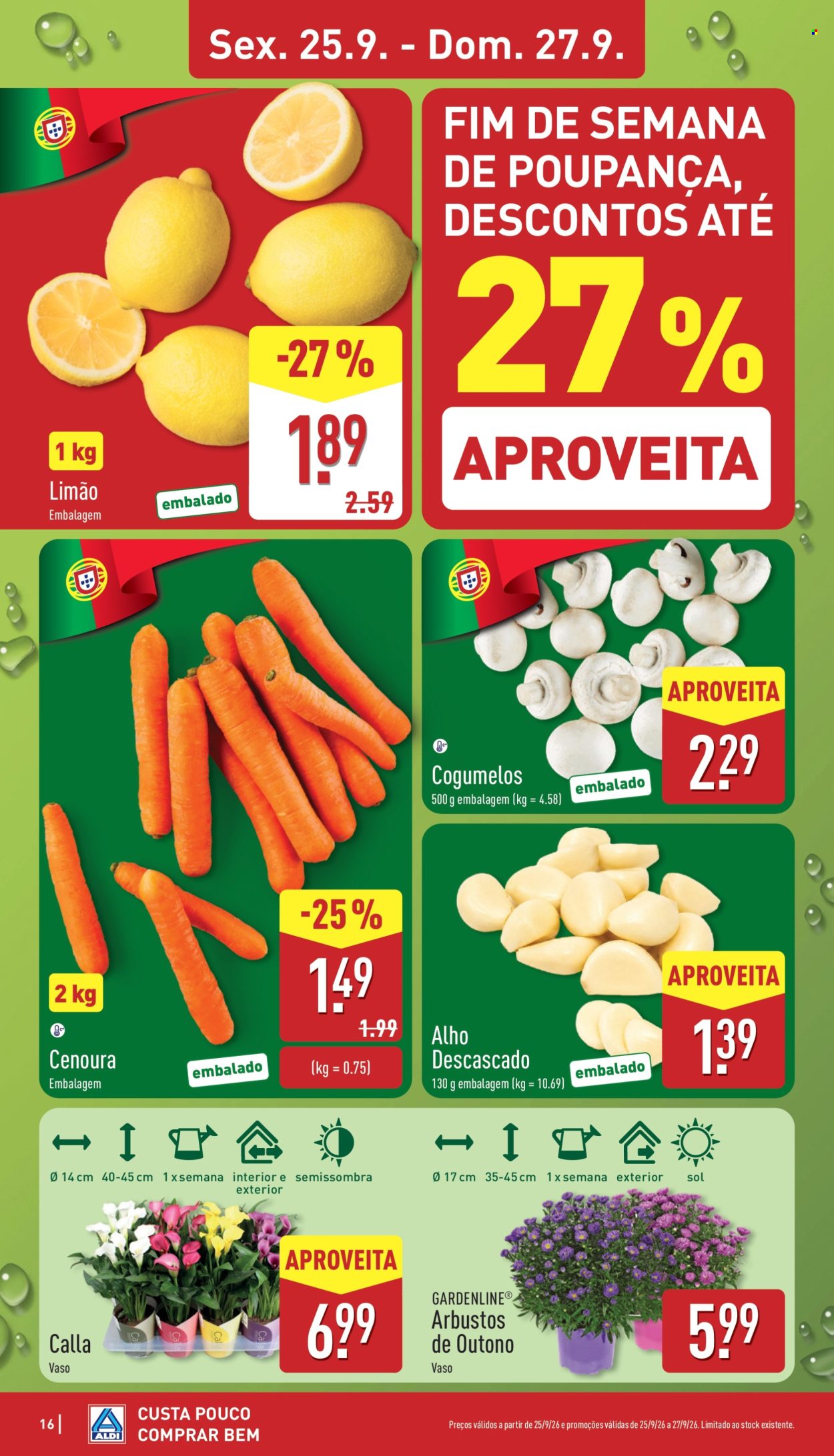Folheto Aldi - 21.9.2026 - 27.9.2026. Página 16