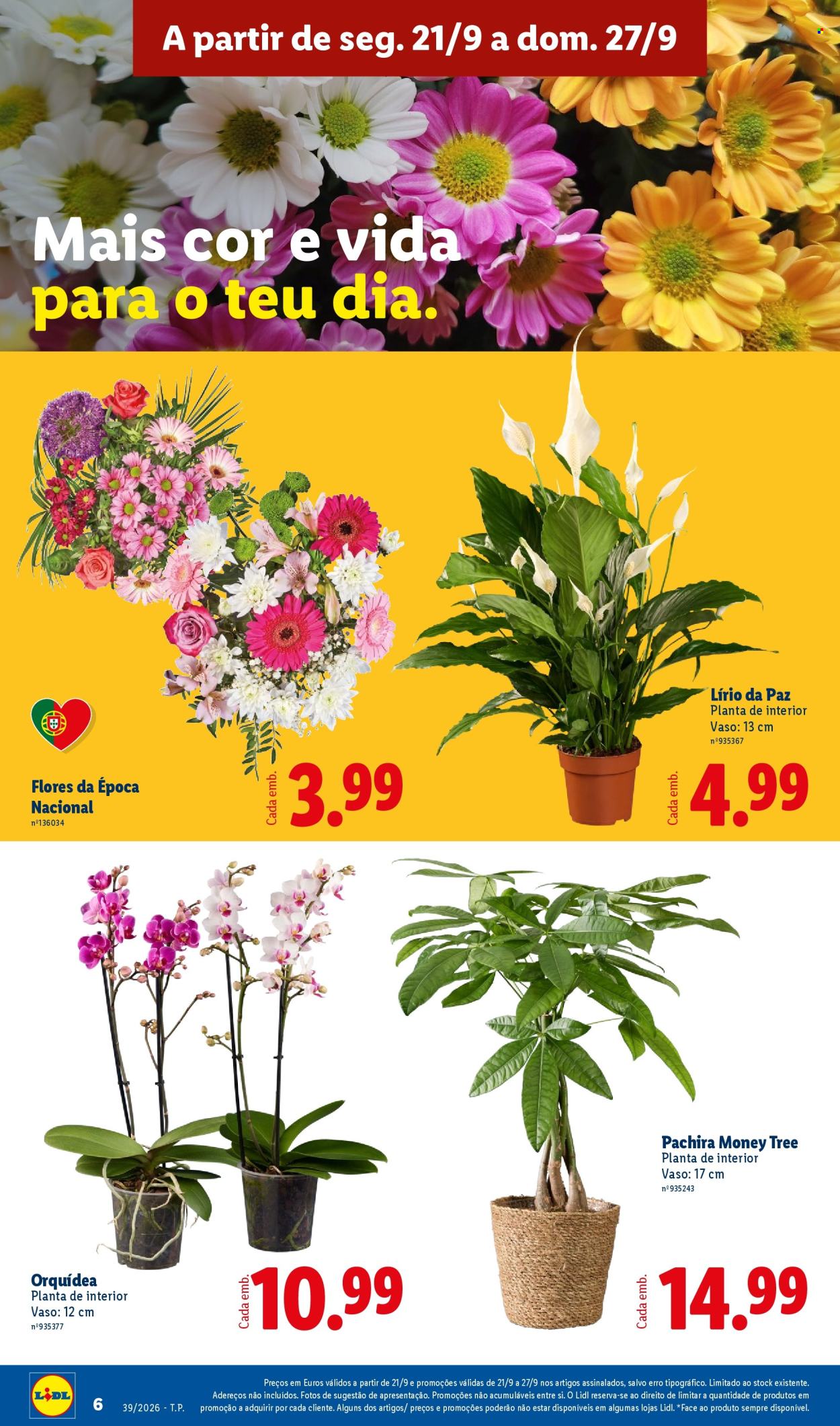 Folheto Lidl - 21.9.2026 - 27.9.2026. Página 8
