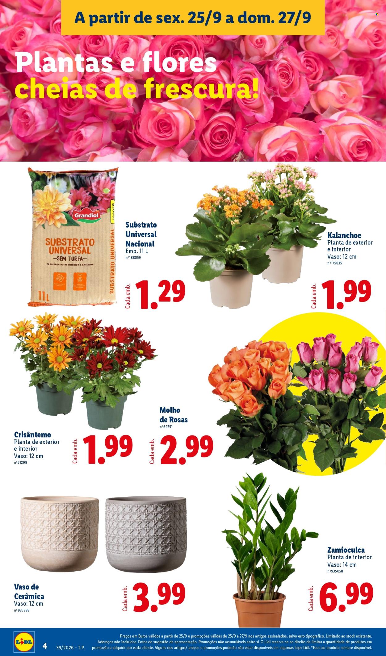 Folheto Lidl - 21.9.2026 - 27.9.2026. Página 4