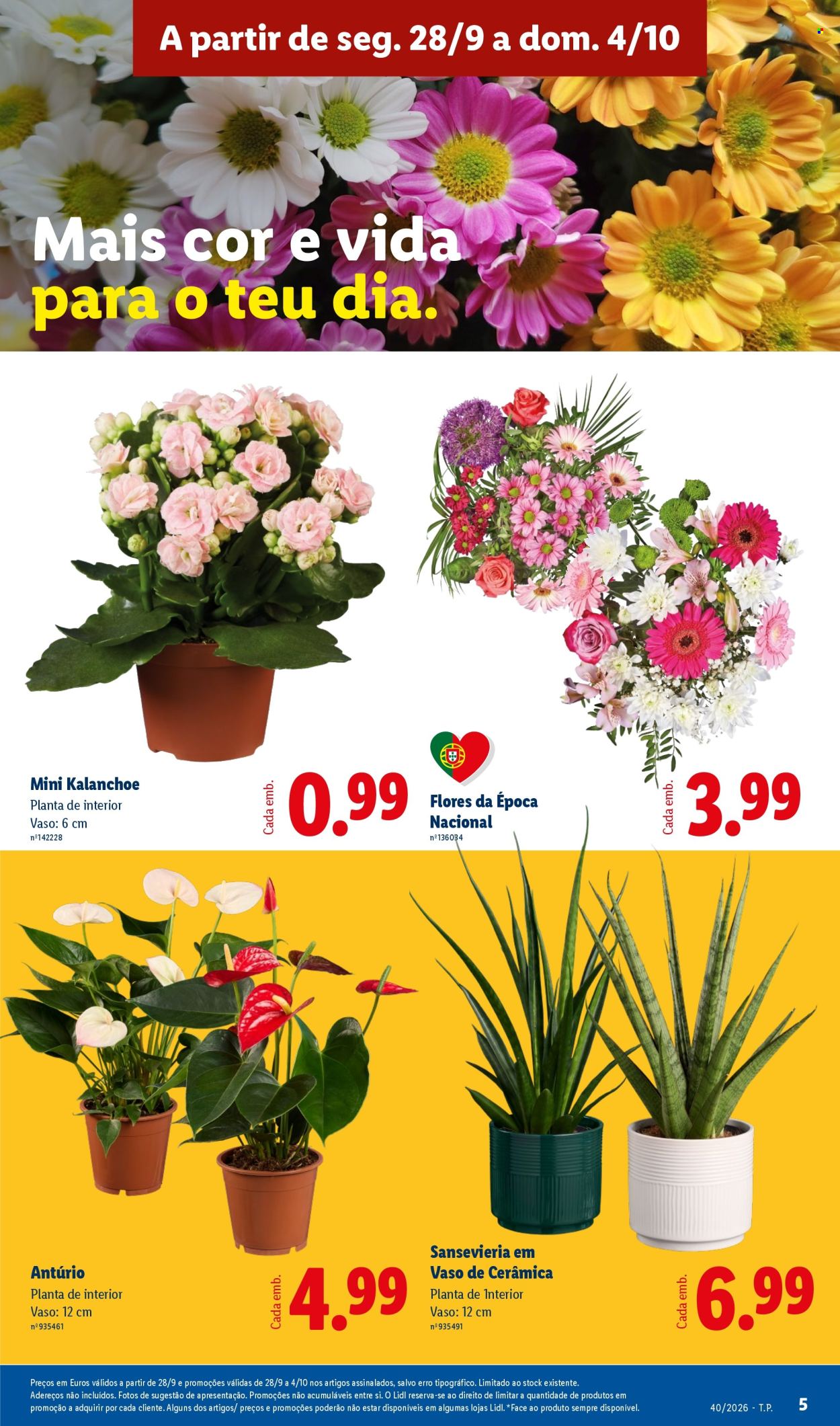 Folheto Lidl - 28.9.2026 - 4.10.2026. Página 5