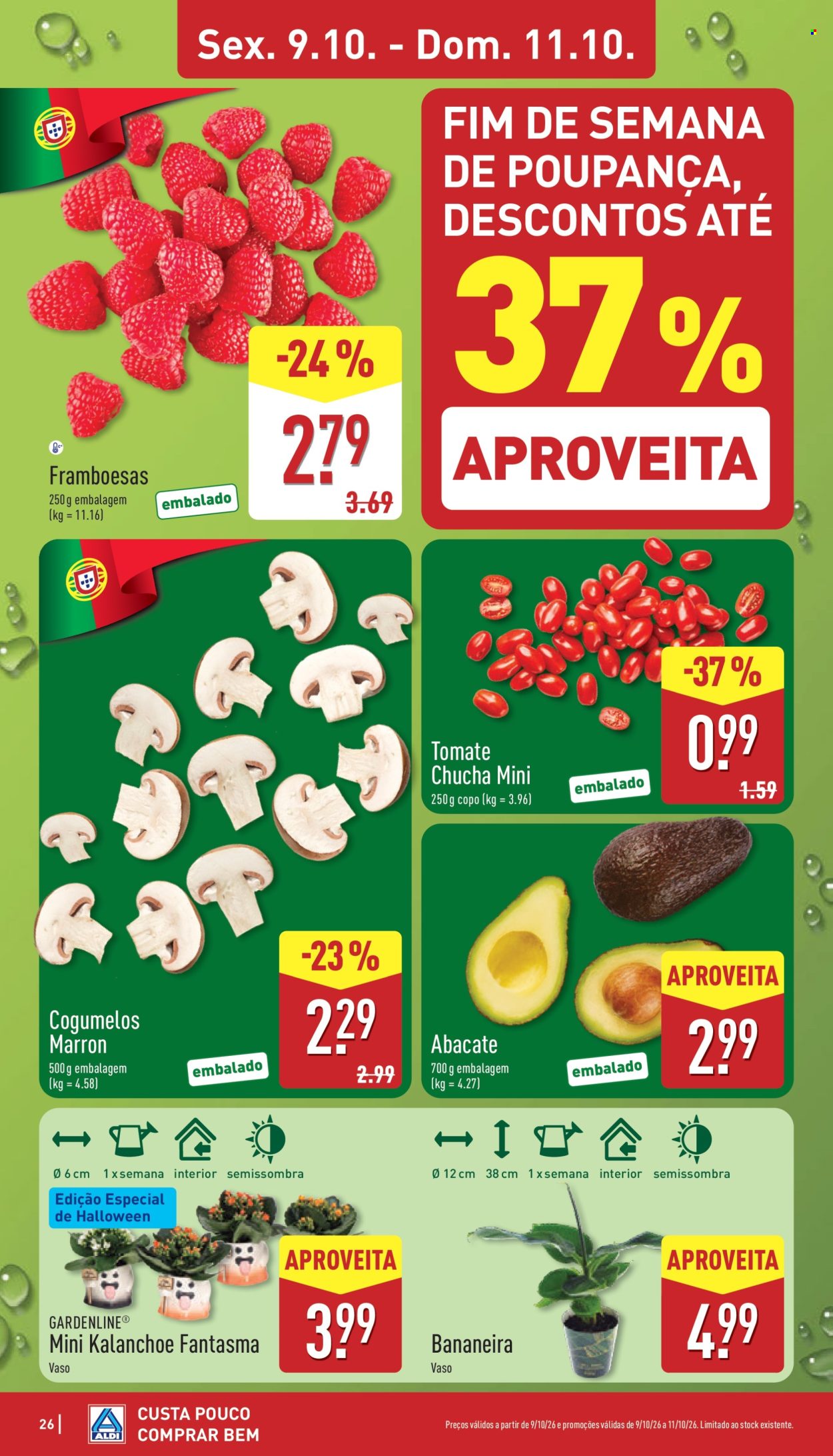 Folheto Aldi - 5.10.2026 - 11.10.2026. Página 26
