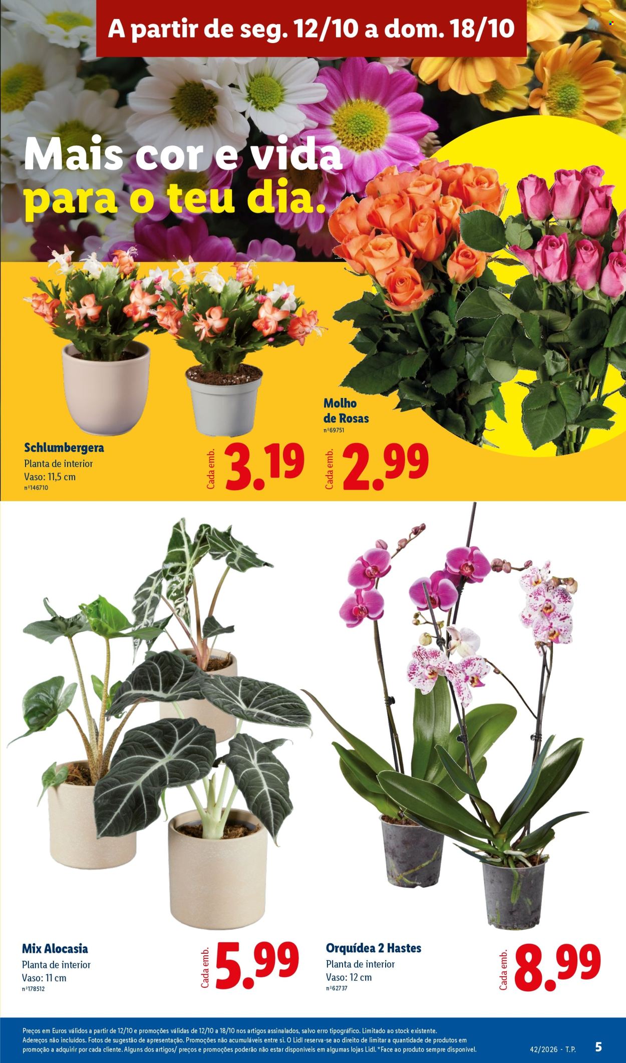 Folheto Lidl - 12.10.2026 - 18.10.2026. Página 5