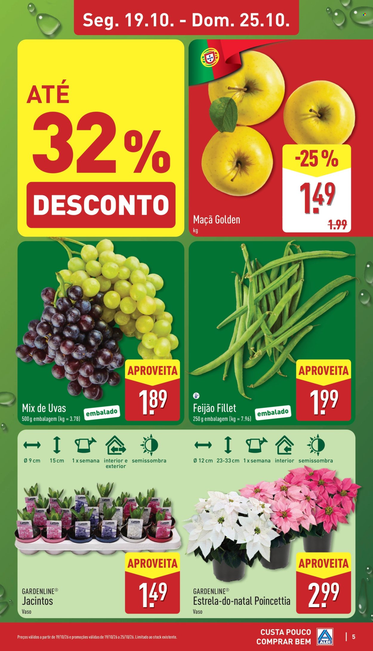 Folheto Aldi - 19.10.2026 - 25.10.2026. Página 5