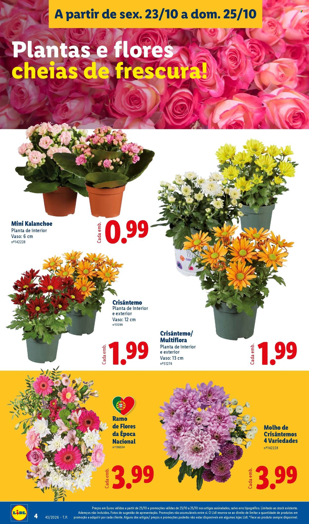 Folheto Lidl - 23.10.2026 - 25.10.2026. Página 4