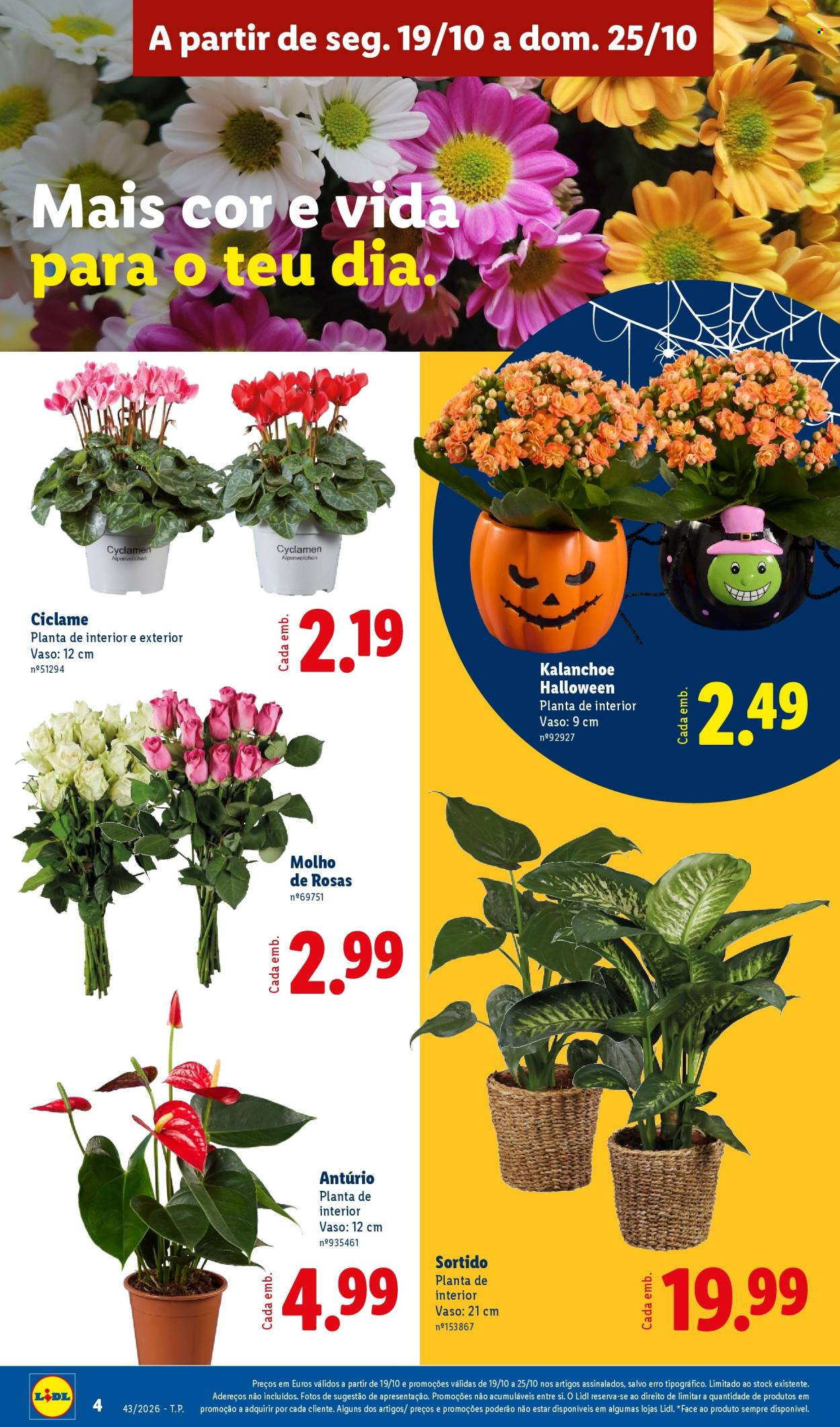 Folheto Lidl - 19.10.2026 - 25.10.2026. Página 4