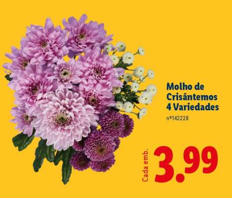 Molho de Crisântemos 4 Variedades