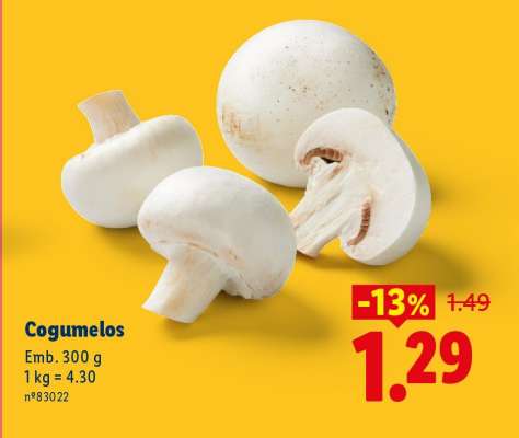 COGUMELOS
