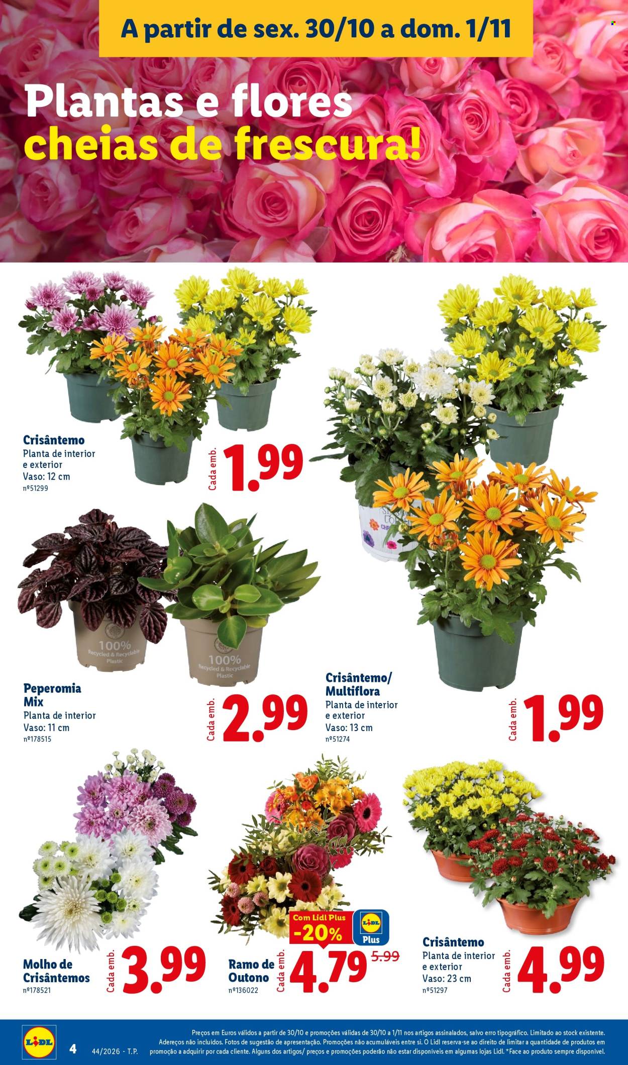 Folheto Lidl - 30.10.2026 - 1.11.2026. Página 4