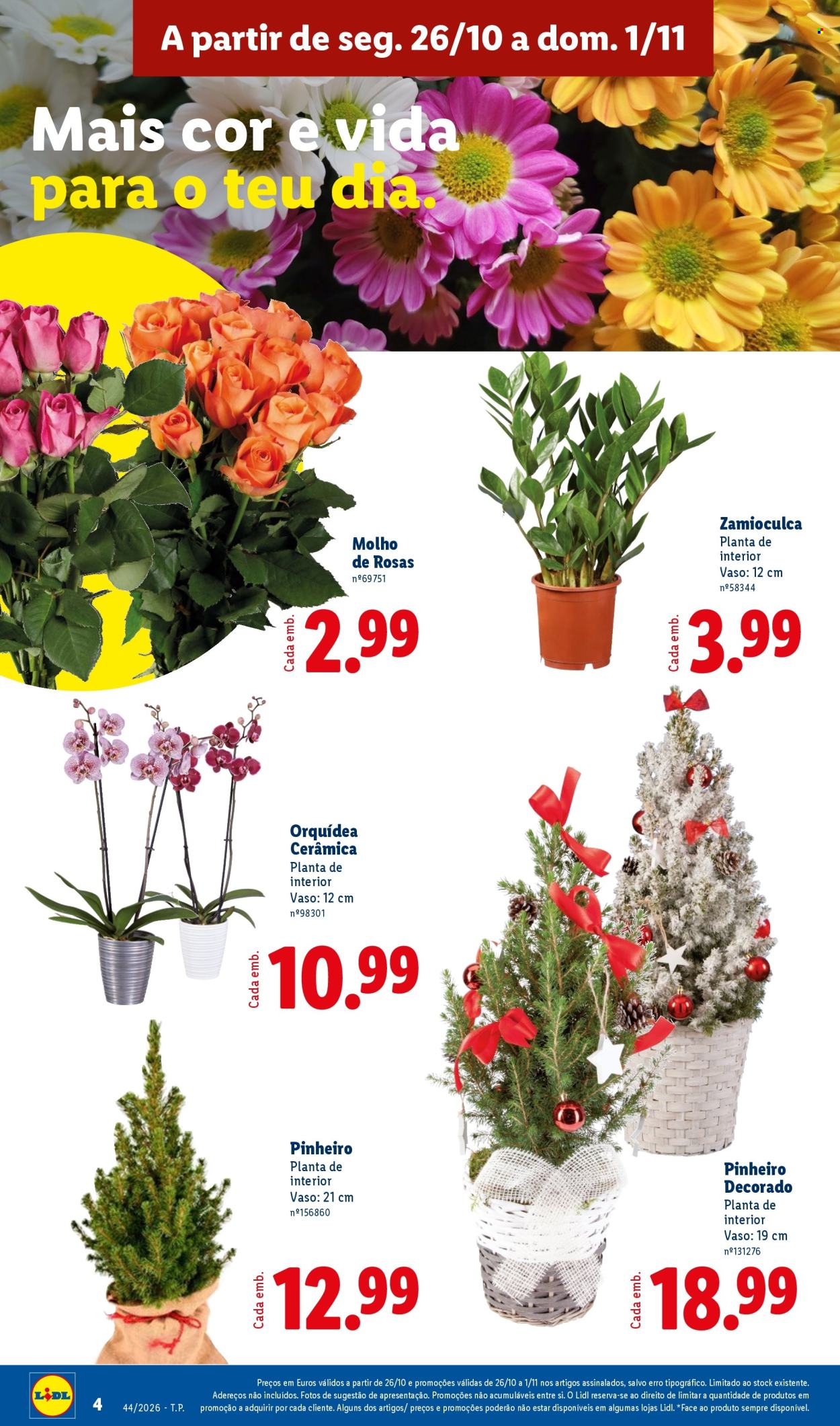 Folheto Lidl - 26.10.2026 - 1.11.2026. Página 4