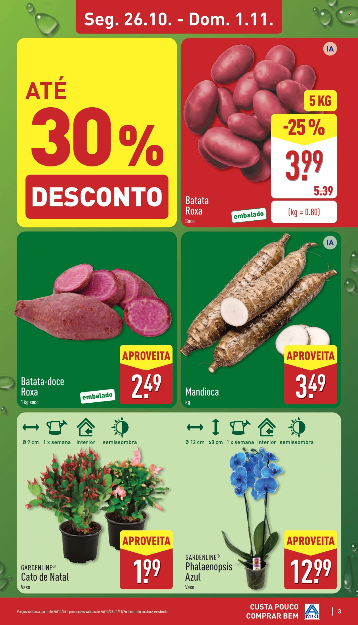 Folheto Aldi - 26.10.2026 - 1.11.2026. Página 3